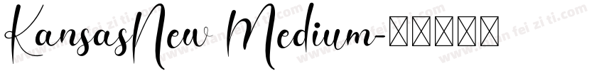 KansasNew Medium字体转换